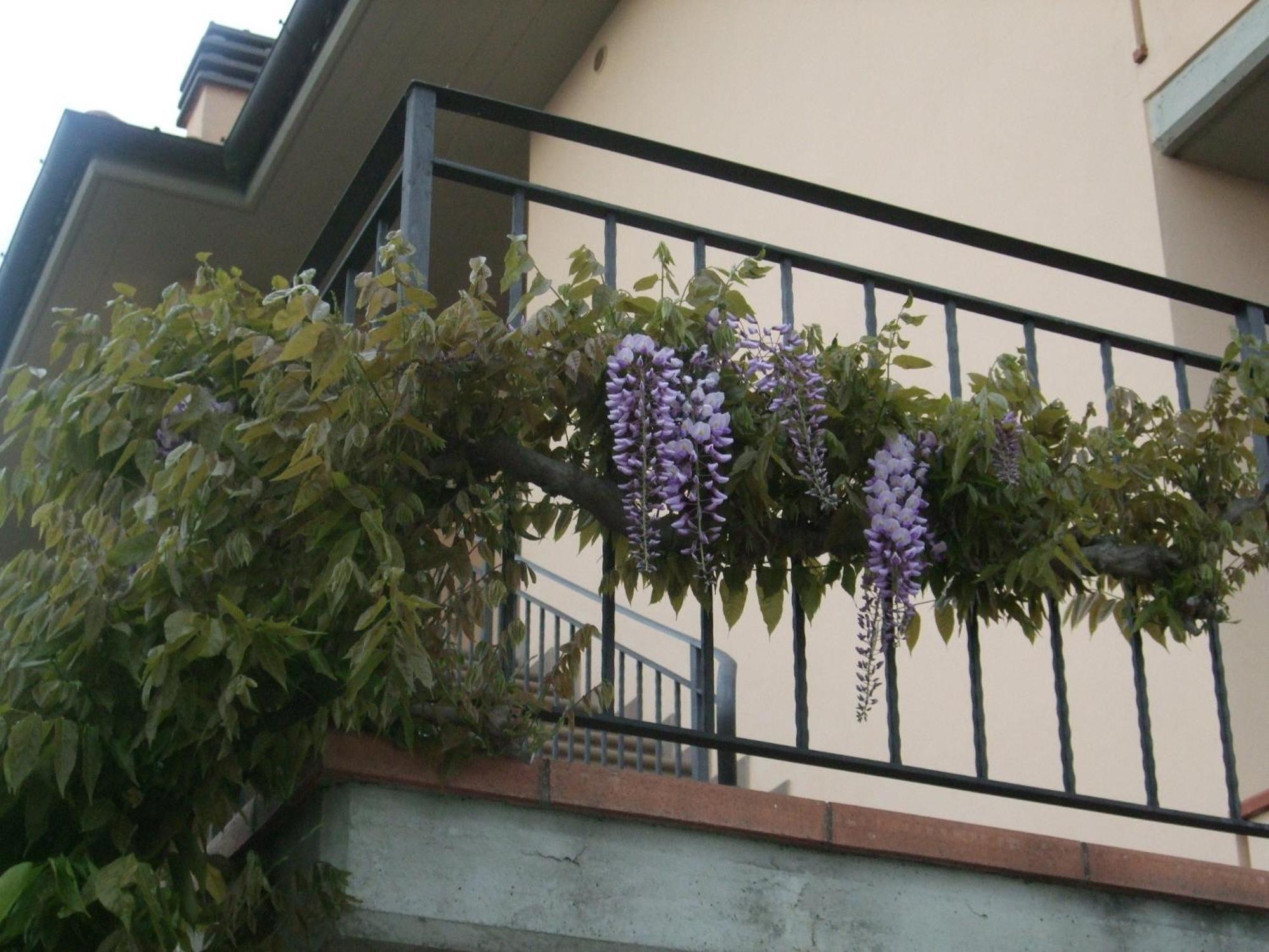 B&B La Casa Di Zefiro Limite Ngoại thất bức ảnh